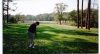 Filename=andygolf.jpg
Filesize=34KB
Dimensions=547x300
Date added=Jul 01, 2007 andygolf.jpg