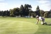 Filename=garygolf.jpg
Filesize=50KB
Dimensions=885x605
Date added=Jul 03, 2007 garygolf.jpg